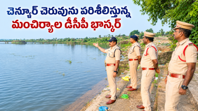 నిమజ్జన వేడుకలు ప్రశాంతంగా జరపాలి