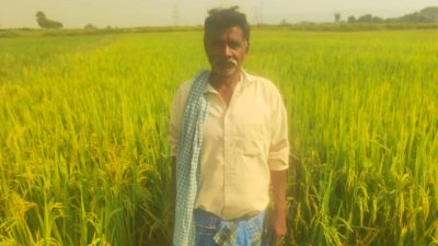 పెద్దపల్లి: డి83 నీళ్లతో కాపాడబడిన పంటలు – పెద్దంపేట రైతుల్లో ఆనందం